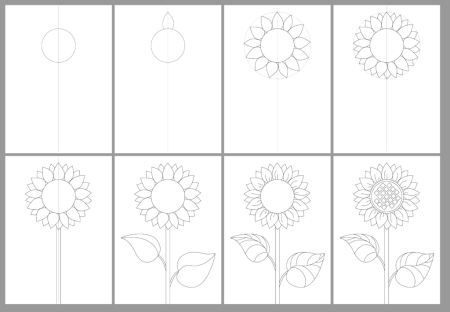 Поэтапное рисование подсолнухов