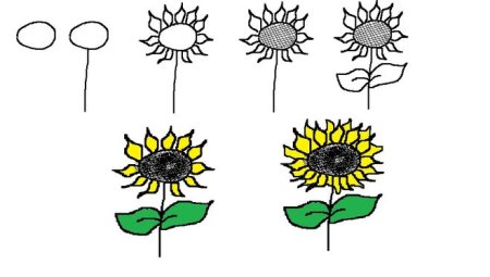 Подсолнух схема рисования