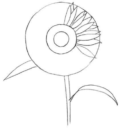 Поэтапное рисование подсолнуха