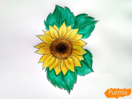 Рисунки подсолнуха для срисовки легкие