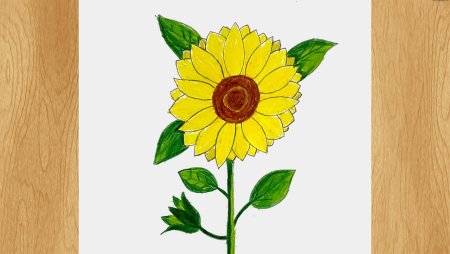 Подсолнухи в вазе рисунки