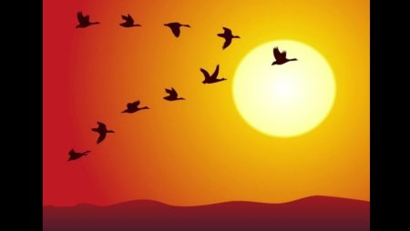Раскраска птицы улетают на Юг