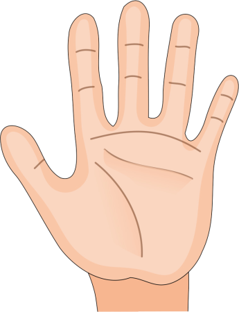 Ребенок на руках референс