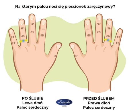 Рука контур