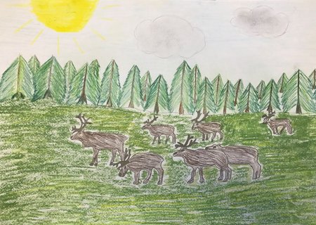Рисование тундра