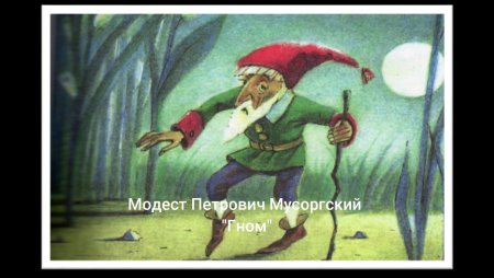 Лохматая бука