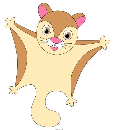 Белка летяга рисунок