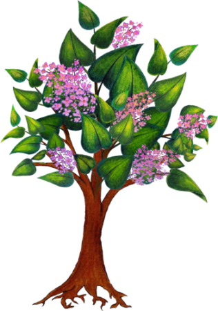 Куст сирени рисунок