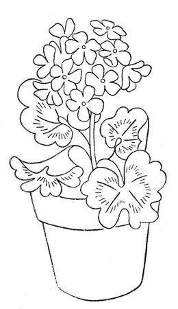 Раскраска комнатные растения для детей