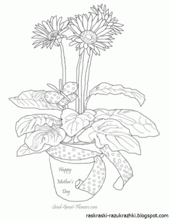 Комнатные цветы раскраски для детей