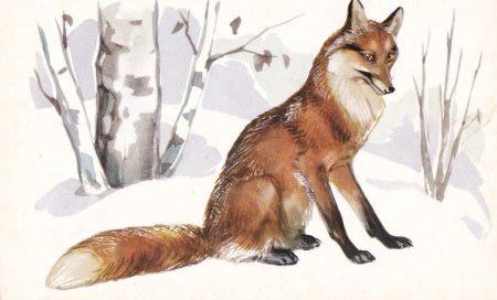Зимний пейзаж с лисой