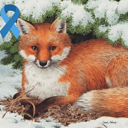 Стилизованные рисунки зимних животных