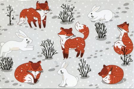 Лисы в круге