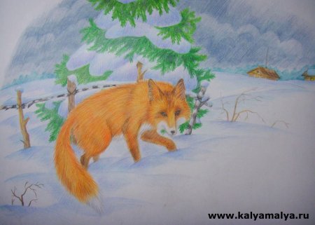 Лиса детский рисунок