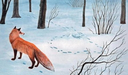 Зимняя лиса рисунок