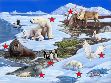 Животные севера
