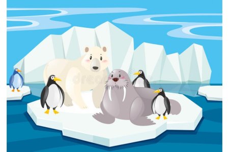 Путешествие на Северный полюс для детей