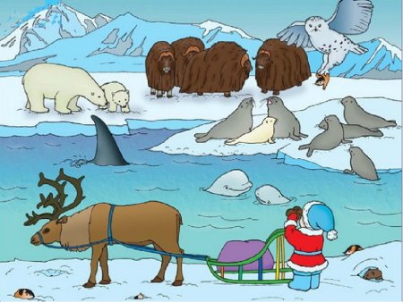 Животные Северного полюса для детей