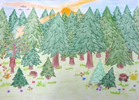 Сосновый лес рисунок детский