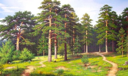 Владимир Бебия Сосновый Бор