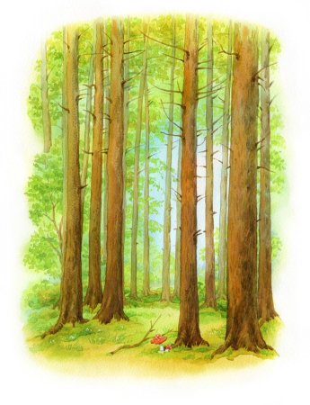 Иллюстрация леса для детей