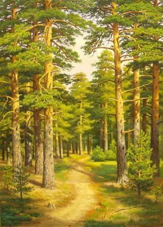 Шишкин Сосновый Бор картина