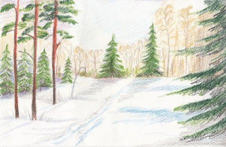 Рисование сосны