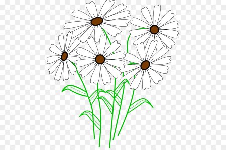 Мультяшный букет ромашек