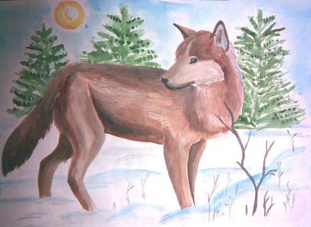 Рисование волка в старшей группе