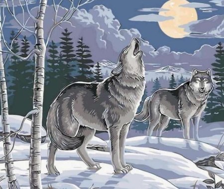 Волк иллюстрация