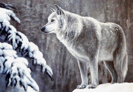 Волк зимой для детей
