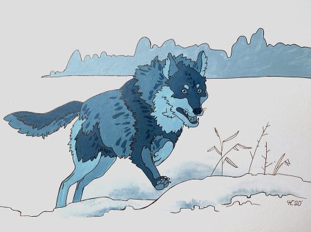 Дневник с волком