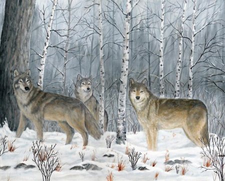 Картина Волчья стая зимой