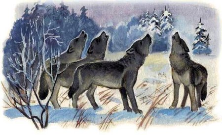 Муса Джалиль волки иллюстрация