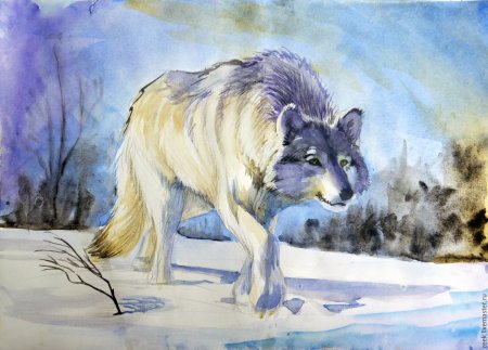 Волк рисунок гуашью