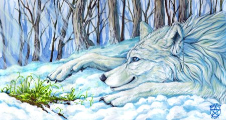 Весенний волк рисунок