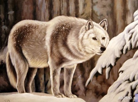 Художник Бруно Тина Августо собака