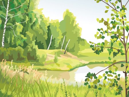 Рисунки природы