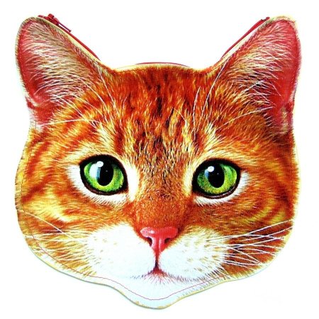 Голова кота
