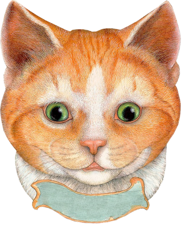 Мордочка котика для детей