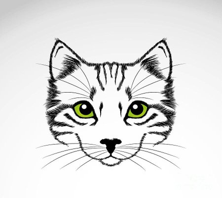 Кошачья мордочка рисунок