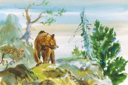 Тайга для детей