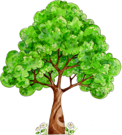 Нарисовать Древо