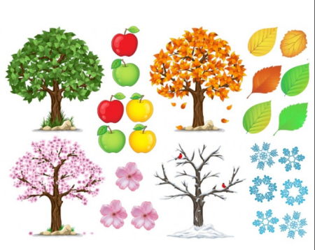 Дерево в разные времена года