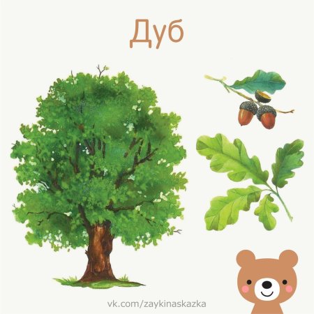 Карточки с изображением деревьев
