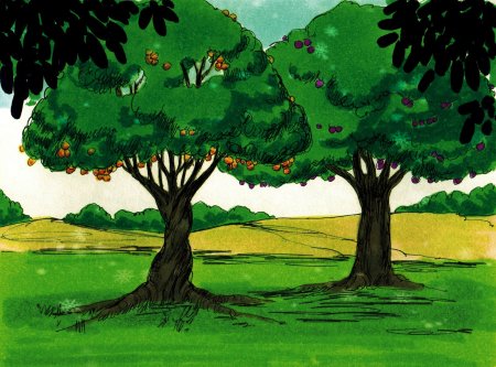 Дерево познания добра и зла и дерево жизни