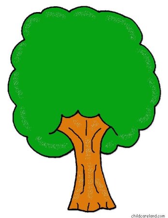 Яблоня без яблок