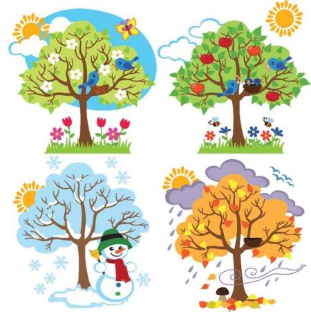 Дерево летом и осенью