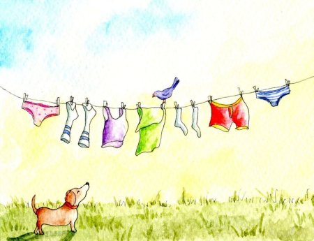 Белье на веревке