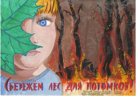 Плакат берегите лес от пожара